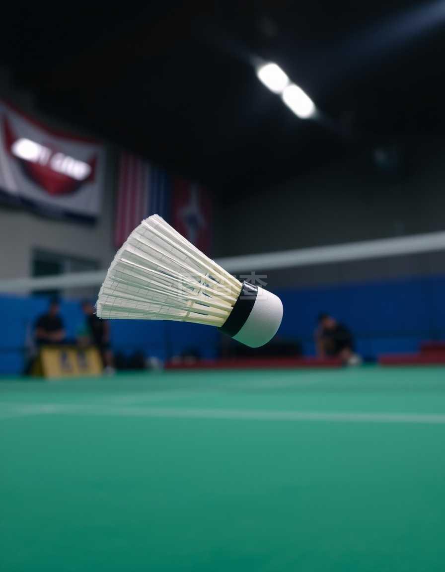 心理学理论 心理学理论