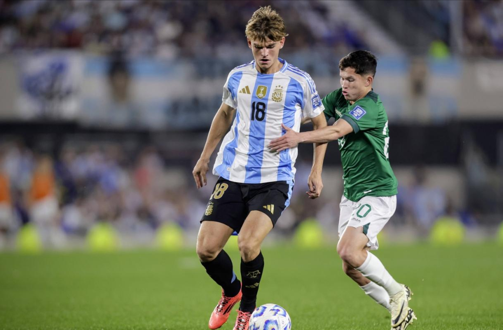 仅展现了皇 仅展现了皇